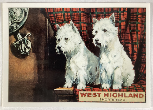 Advertising postcard west - advertising,