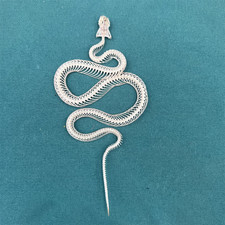 Animal Taxidermy 1 pc Real