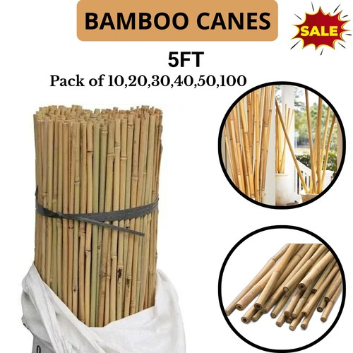 5ft thick bamboo - bamboo, canes
