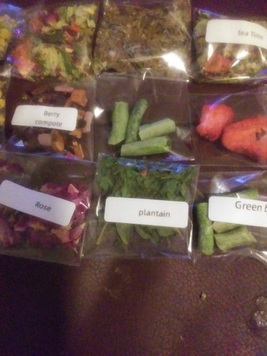 Land hermit crab food - land,