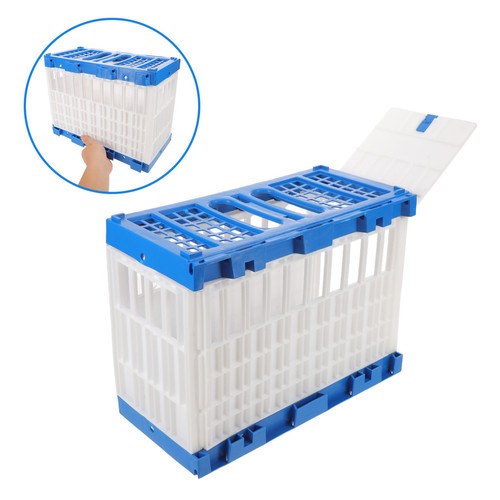 Pigeon release cage travel - release,