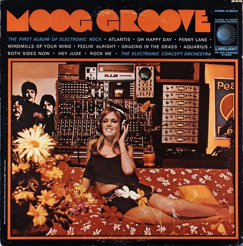 Moog groove the - the, electronic