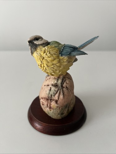 Border fine arts - border,