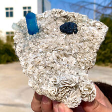 1.72LB  Museum Natural Top Quality Grade Aquamarine Crystal Terminated Specimen