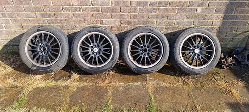 Team dynamics 15 inch - dynamics,