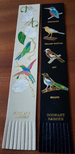 Beautiful birds - beautiful, 🦤🦜
