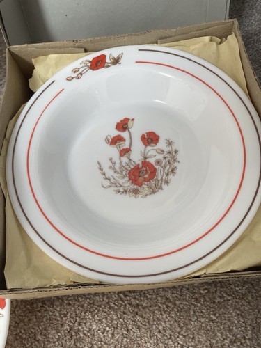 Vintage arcopal soup plates - arcopal,