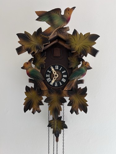 1970 black forest - black,
