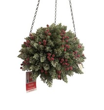 Martha Stewart Christmas Hanging Basket Greenery & Frosted Berries Winter NEW!