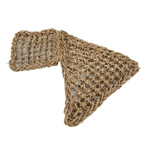 Lizard climbing hammock - climbing,