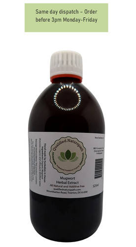 Mugwort herbal extract 525ml - mugwort,