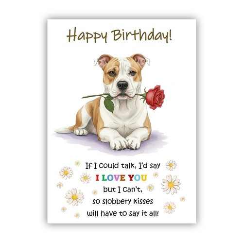 American bulldog birthday card - birthday,