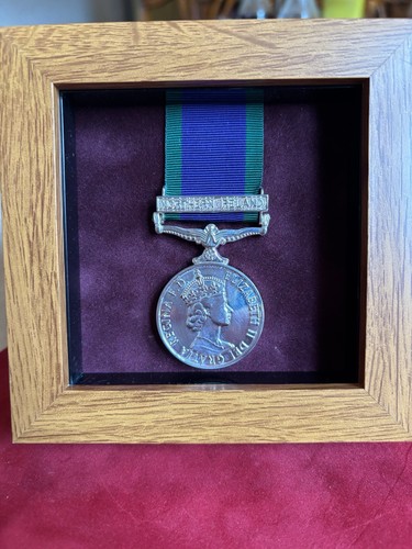 General service medal - general, (csm)