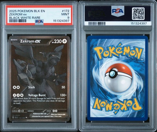 2025 pokemon blk - pokemon, bolt