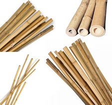 Strong Heavy Duty Professional Bamboo Plant Support Garden Canes | 3ft - 7ft