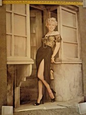Marilyn Monroe Door Poster