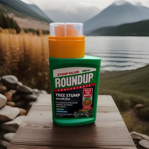 Roundup tree stump - stump, and