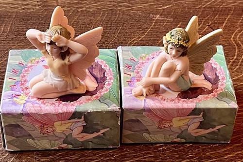 Resin lesser pavey - resin, leonardo