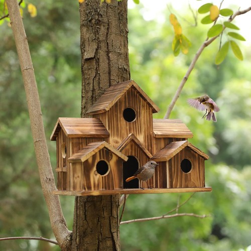 Bird house for outside - house, outdoor