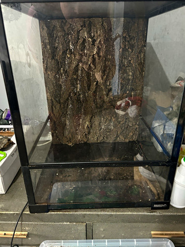 Prorep glass reptile vivarium - prorep,