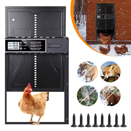 Automatic chicken coop - automatic, door
