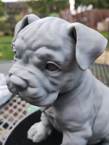Staffordshire bull terrier - staffordshire,