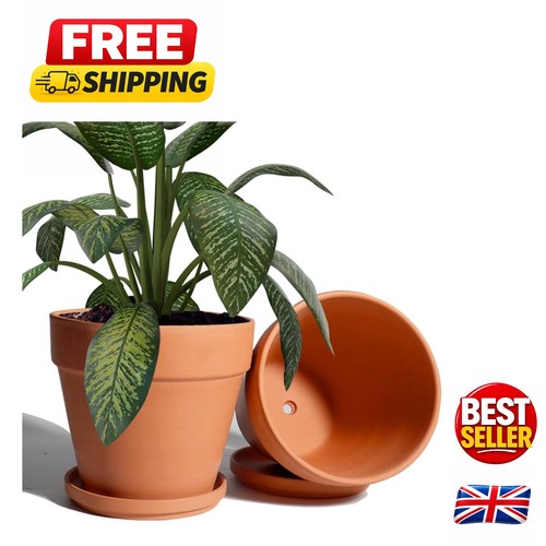 Stylish 20cm terra cotta - terra,