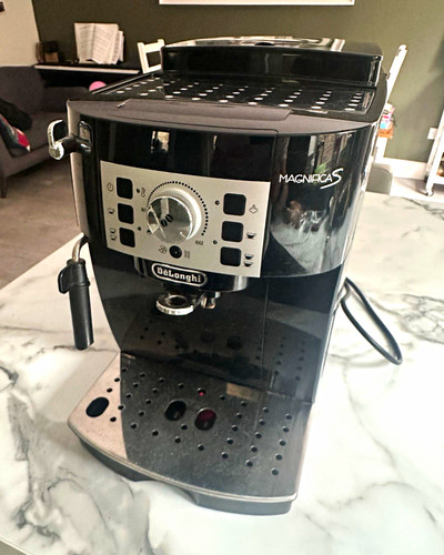 Longhi magnifica s - magnifica,
