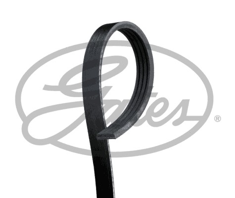 Ribbed belt fits - belt,