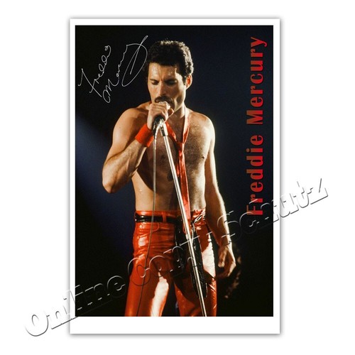 Freddie mercury queen - mercury,