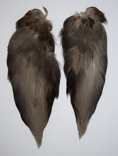 Select Complete set of Bronze