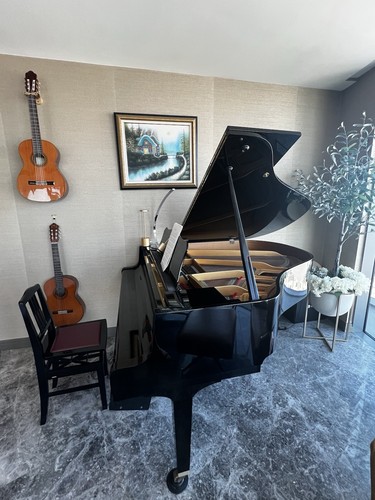 Yamaha gh1 disklavier baby - gh1,