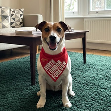 Arsenal Reversible Dog Bandana – Slips on Collar | Handmade, Arsenal Gift