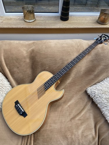 Washburn electro - ab-20,