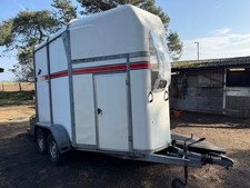 Bateson Deauville horse