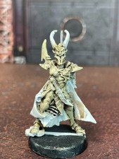 Dark Eldar-Dark Archon Metal