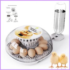 Household Small Chicken, Duck