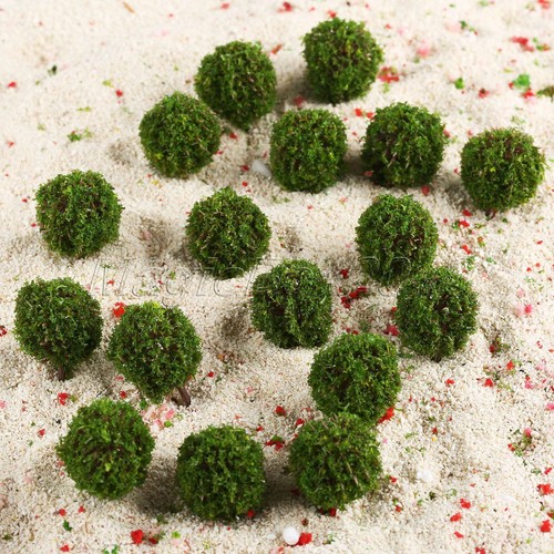 35mm landscape scenery topiary - 35mm,