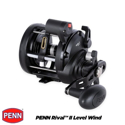Penn rival level - penn, ii