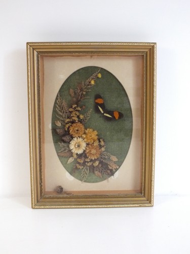 Vintage framed dried - dried, &