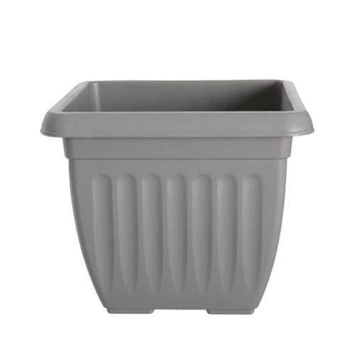 Large square plant - large,