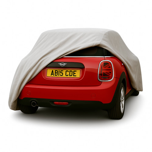 Mini cooper door - mini,