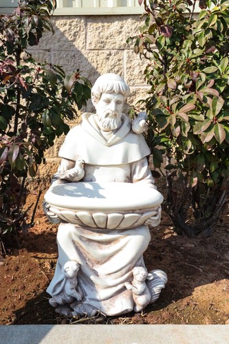 Sitting saint francis with - saint,