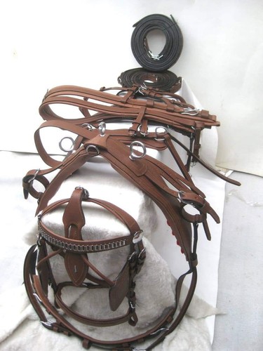 Driving harness single horse - harness,