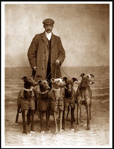 Greyhound man and dogs vintage - man,