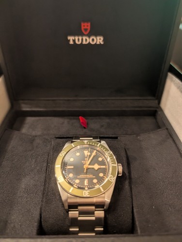 Tudor black bay - bay, "