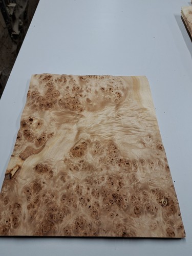 Poplar burr veneer 1 natural - poplar,
