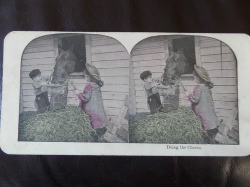 1895 delightful colour 3d - c.1895,