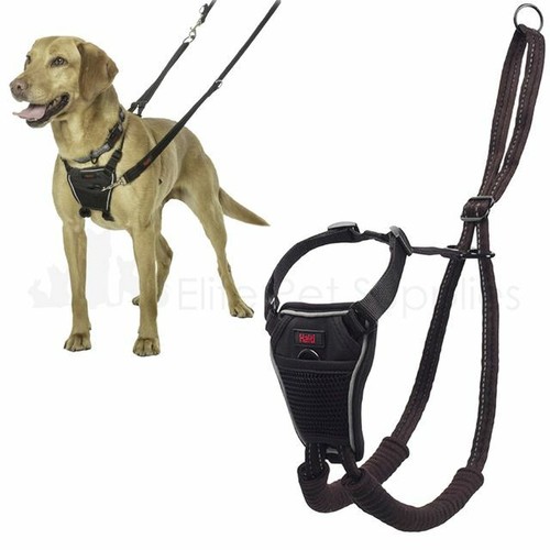 Halti pull training harness - halti,