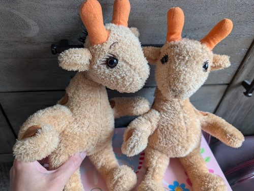 Two beautiful giraffe plush - beautiful,